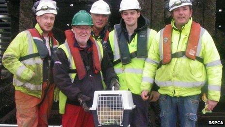 Workmen who helped to rescue ferret