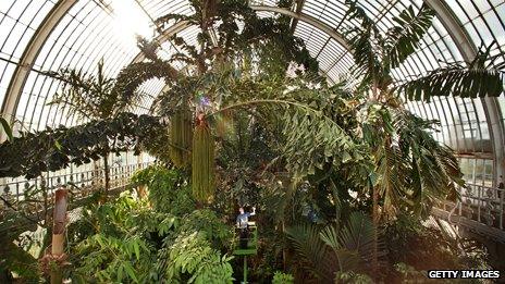 The Palm House at The Royal Botanic Gardens, Kew