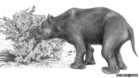 An extinct marsupial mega-herbivore