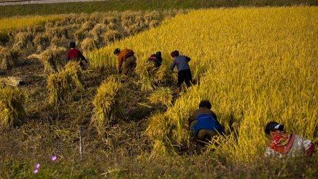 North Korean farmers work in a field along a highway outside the eastern coastal city of Wonsan, North Korea, 2011