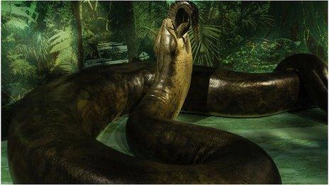 titanoboa giant snake replica