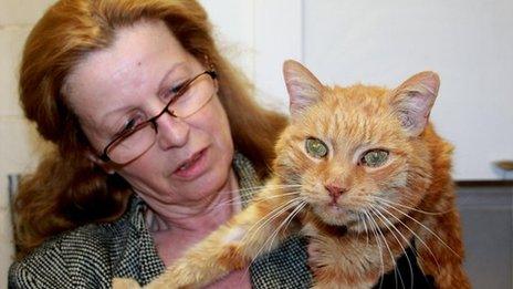 Poldi the cat that's been missing for 15 years