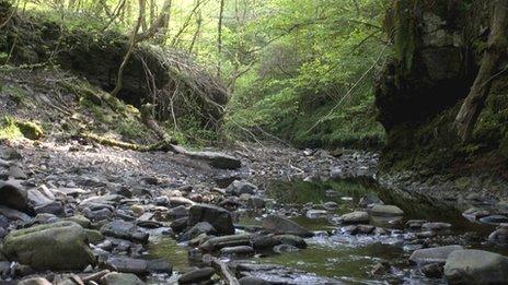 River in Brecon Beacons