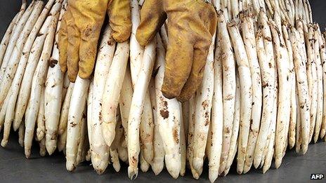 White asparagus