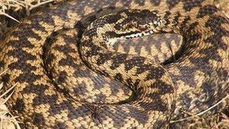 An adder