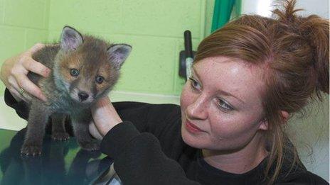 Alex Morris with Poppy the fox cub