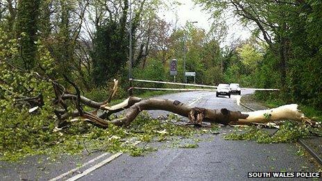 A tree blocked this road in Dinas Powys in the Vale of Glamorgan Photo: South Wales Police