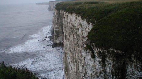 Bempton Cliffs