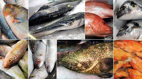 Varieties of fish