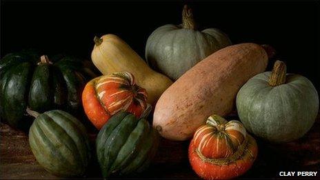 Ornamental squash (l-r) Muscade de Provence, table queen, Turk's turban, spaghetti, blue ballet, and pink banana