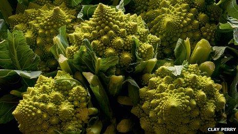 Cauliflower Romanesco from the book Heritage Fruit & Vegetables by Toby Musgrave