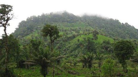 View of the Machay site