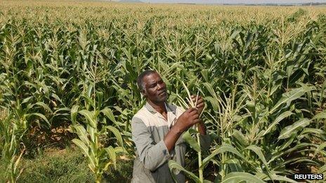 A farmer in South Africa's Eastern Free State, April 2012