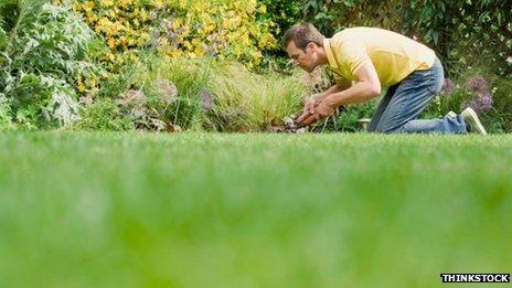 Man on his knees trimming a lawn