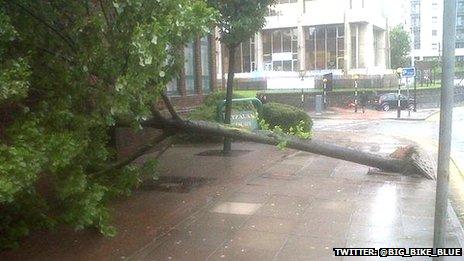 High winds brought down a tree on Newport Road in Cardiff city centre