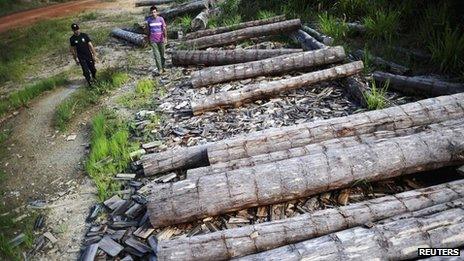 An agent from Brazil's land reform agency INCRA looks at a logs extracted illegally from the Amazon rainforest, in Anapu 2 June 2012.