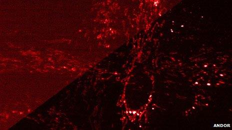 Comparative low light images taken with new Andor Neo sCMOS camera vs interline CCD standard technology of a fluorescently labelled fixed cell