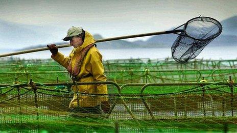 Salmon farmer