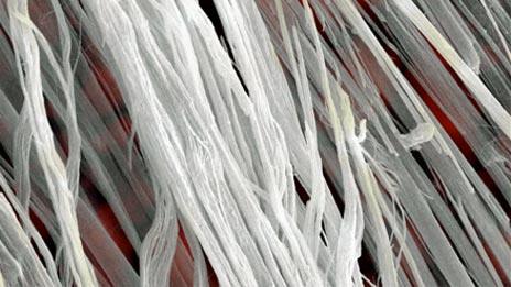 Asbestos fibres