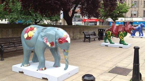 Safari animals in Northampton town centre