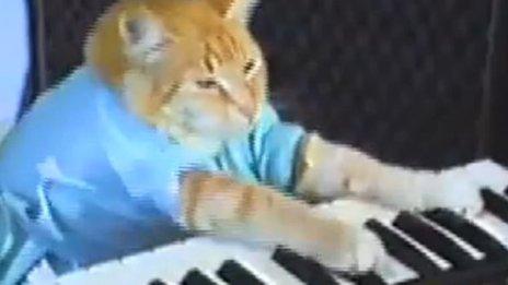 Keyboard Cat