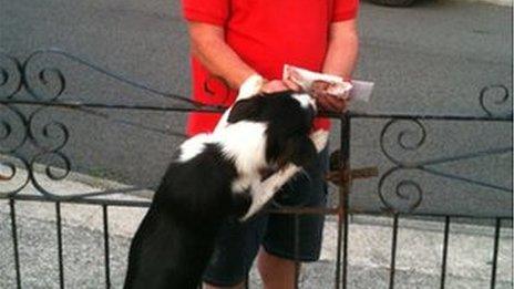 Wayne Davies with one of the dogs he meets on his rounds