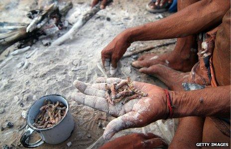 People eating caterpillars