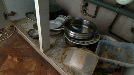 Mouse droppings in the kitchen units