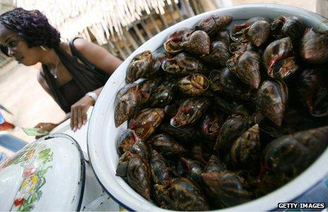 Snails in bowl