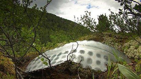 Space rocket debris in Altai