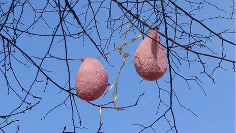 Deflated balloons in a tree