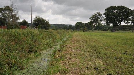 Somerset Levels at Mudgley nr Wedmore