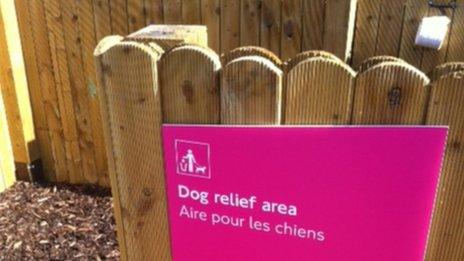 Dog relief area