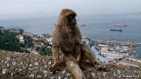 Gibraltar