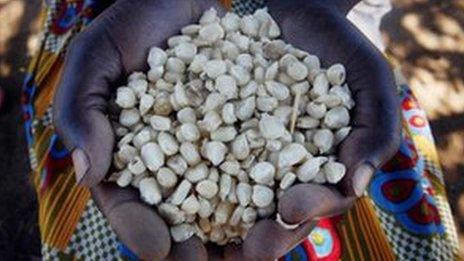 A woman holding a handful o beans