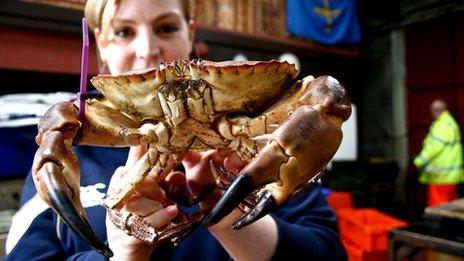 Kate Walker with crab