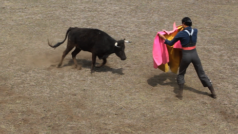 Bullfighting practice at Rancho Seco