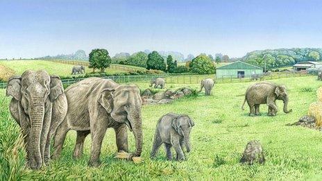 An artists' impression of the new elephant enclosure at Noah's Ark Zoo Farm