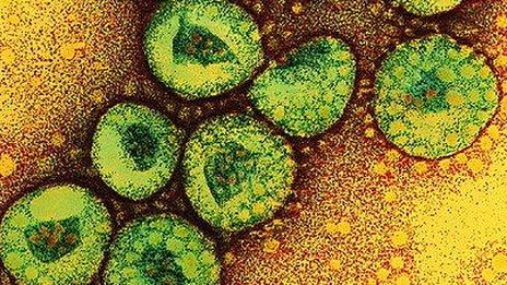 Coronavirus