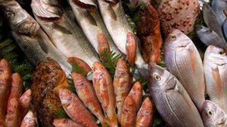 Selection of fresh fish