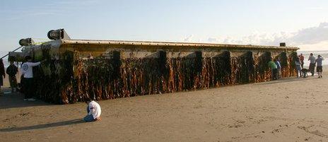 Dock washed ashore