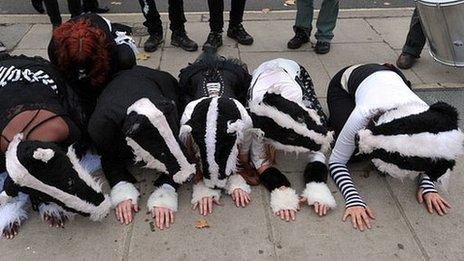 Badger protest