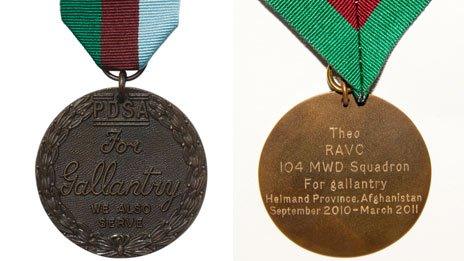 The PDSA Dickin Medal awarded to Theo