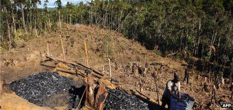 A charcoal maker in Madagascar - Archive shot