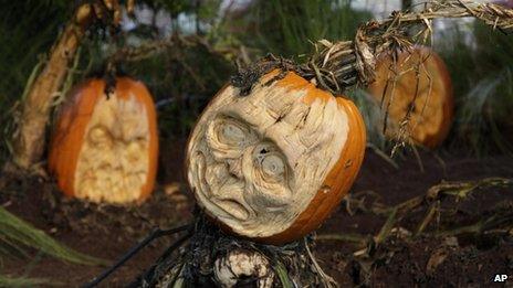 Carved pumpkins