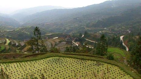 Paddy fields in Zhaoxing in China's Guizhou province