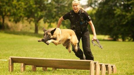 Gwent Police dog training