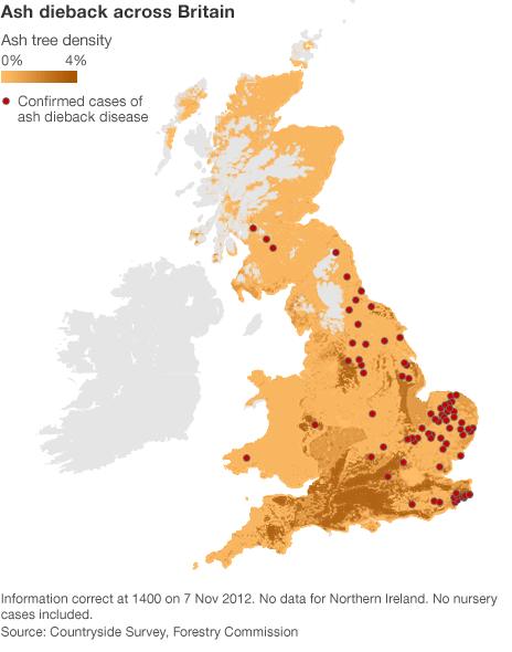 Map showing ash distribution and location of infected trees