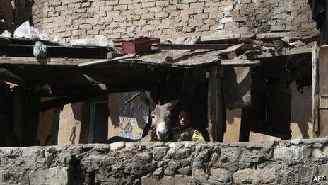 A boy with his donkey in a Cairo slum