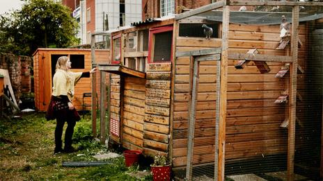 Pigeon loft in Digbeth